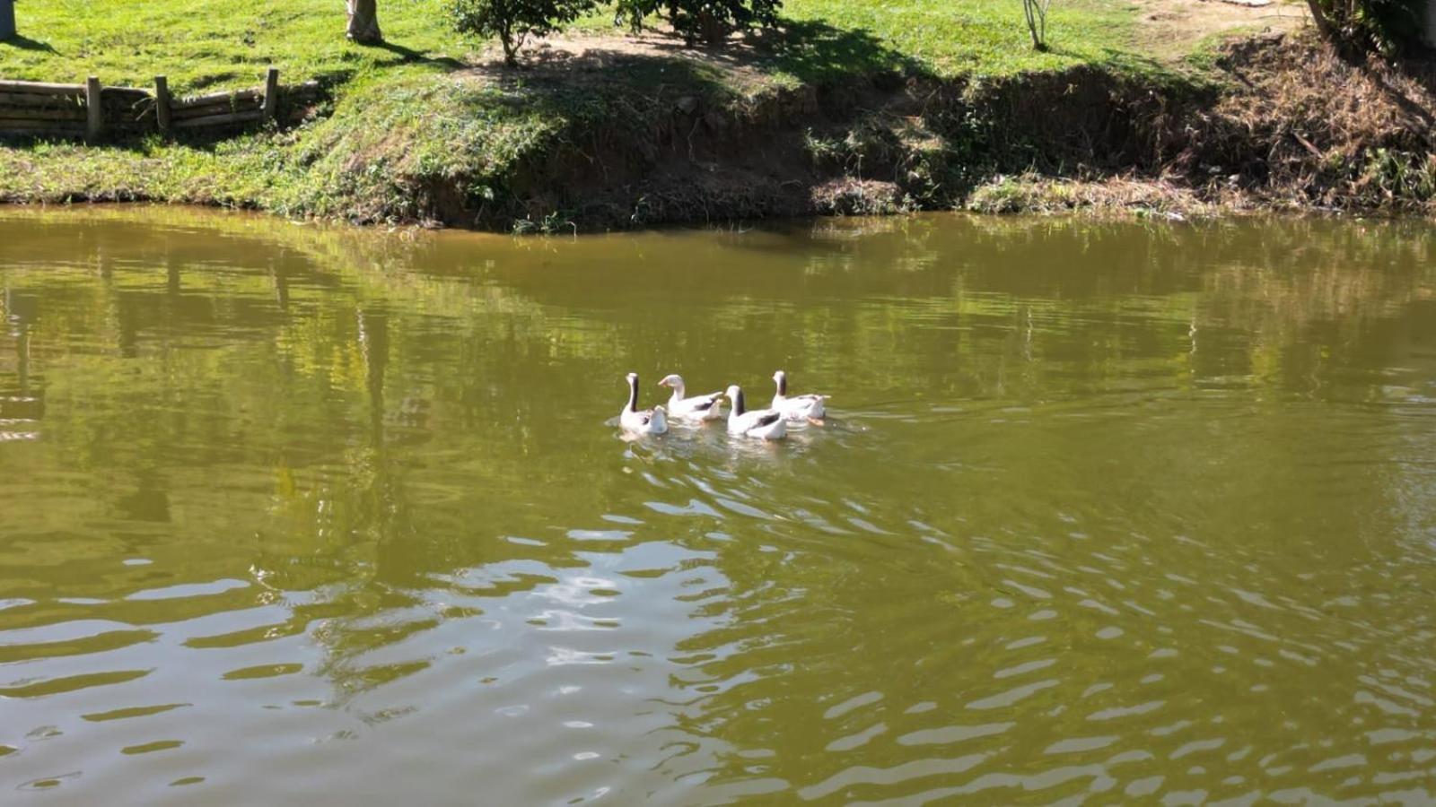 Pousada Rancho da Mata Conservatoria Bagian luar foto