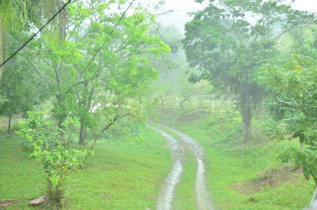 Pousada Rancho da Mata Conservatoria Bagian luar foto